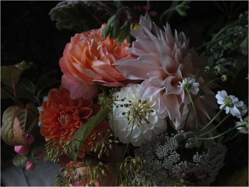 Petal and Feast Flowers