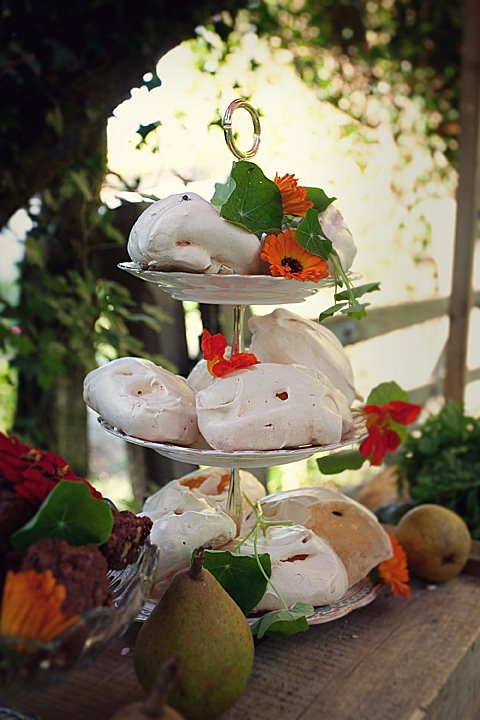 309419_243707825679302_168485006534918_757467_1134463433_n