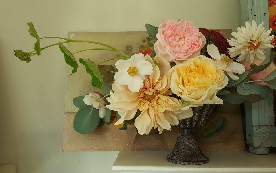 from garden