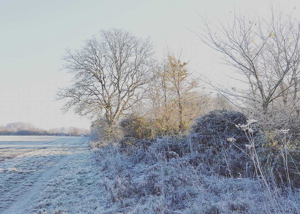 frost - me