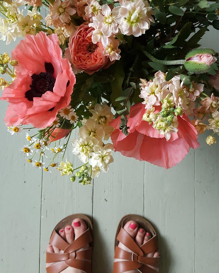 poppies