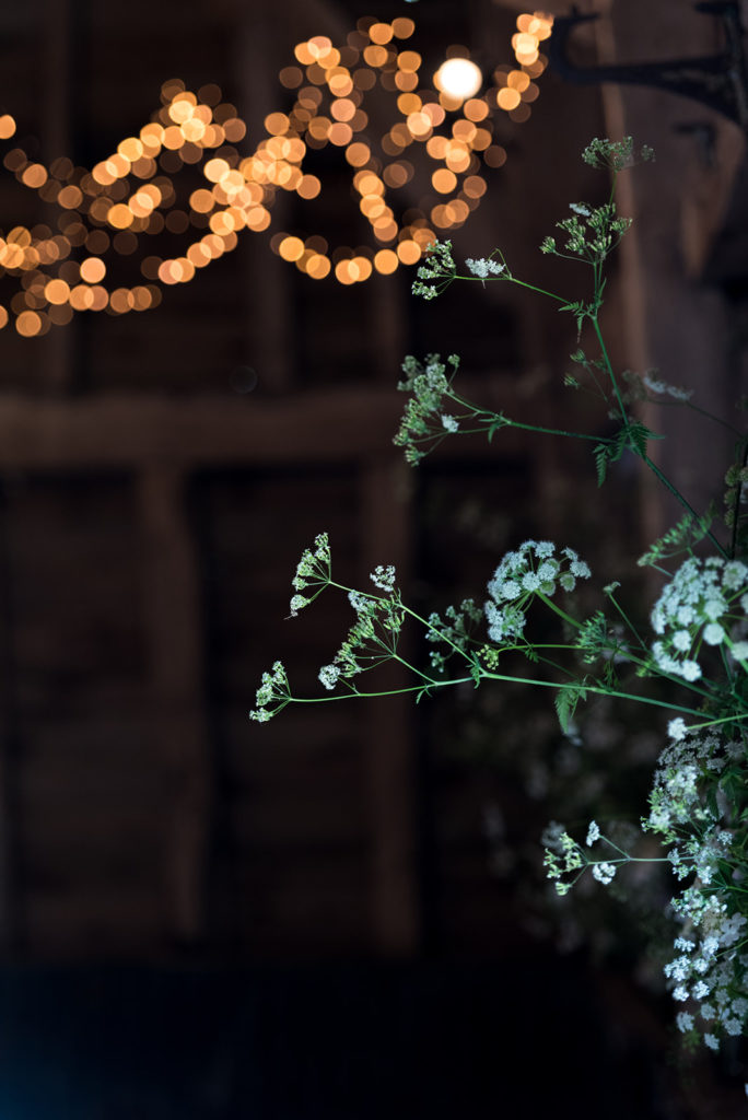 Petal and Feast wildflowers