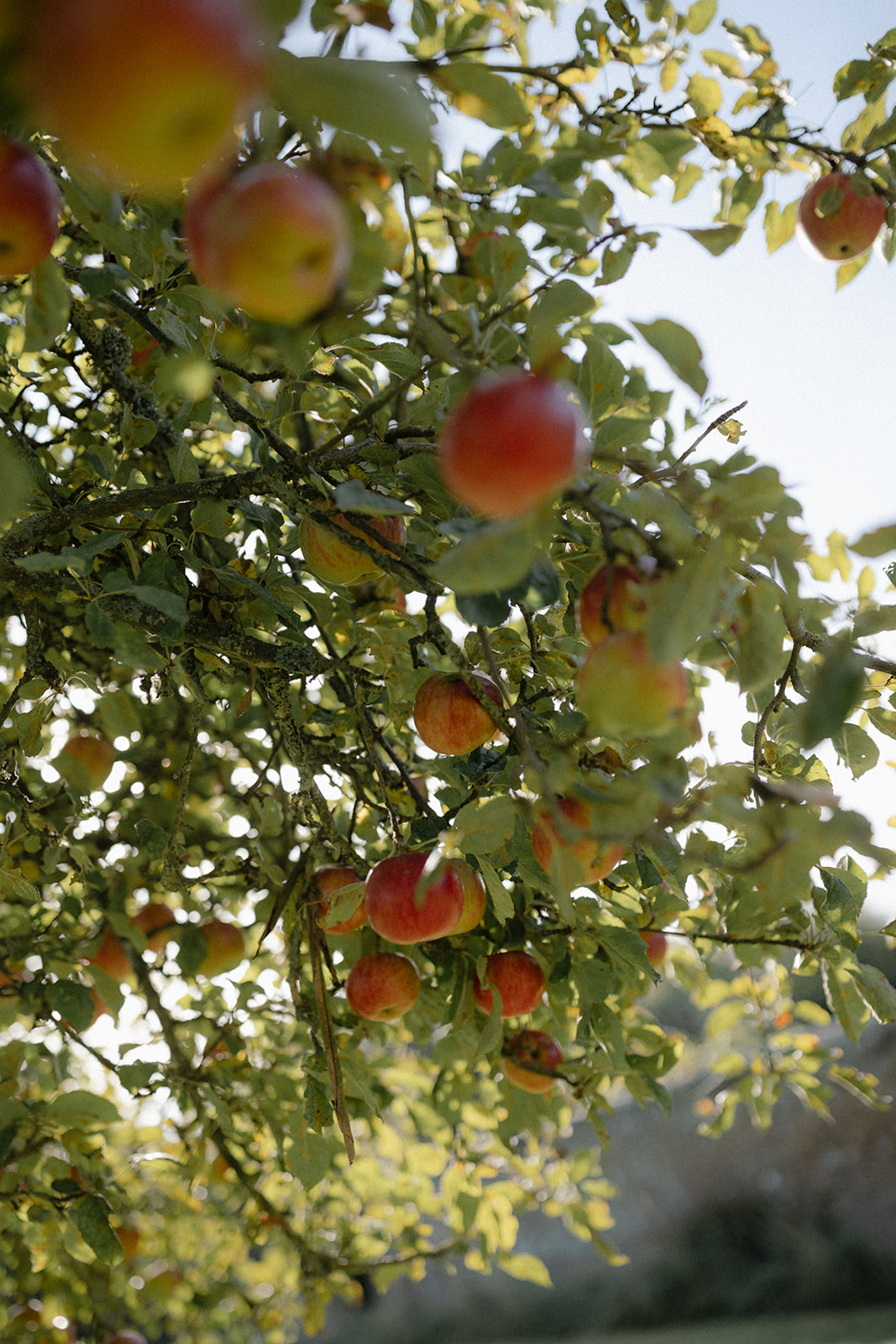Relaxed Barn Wedding Venue Sussex | Petal and Feast