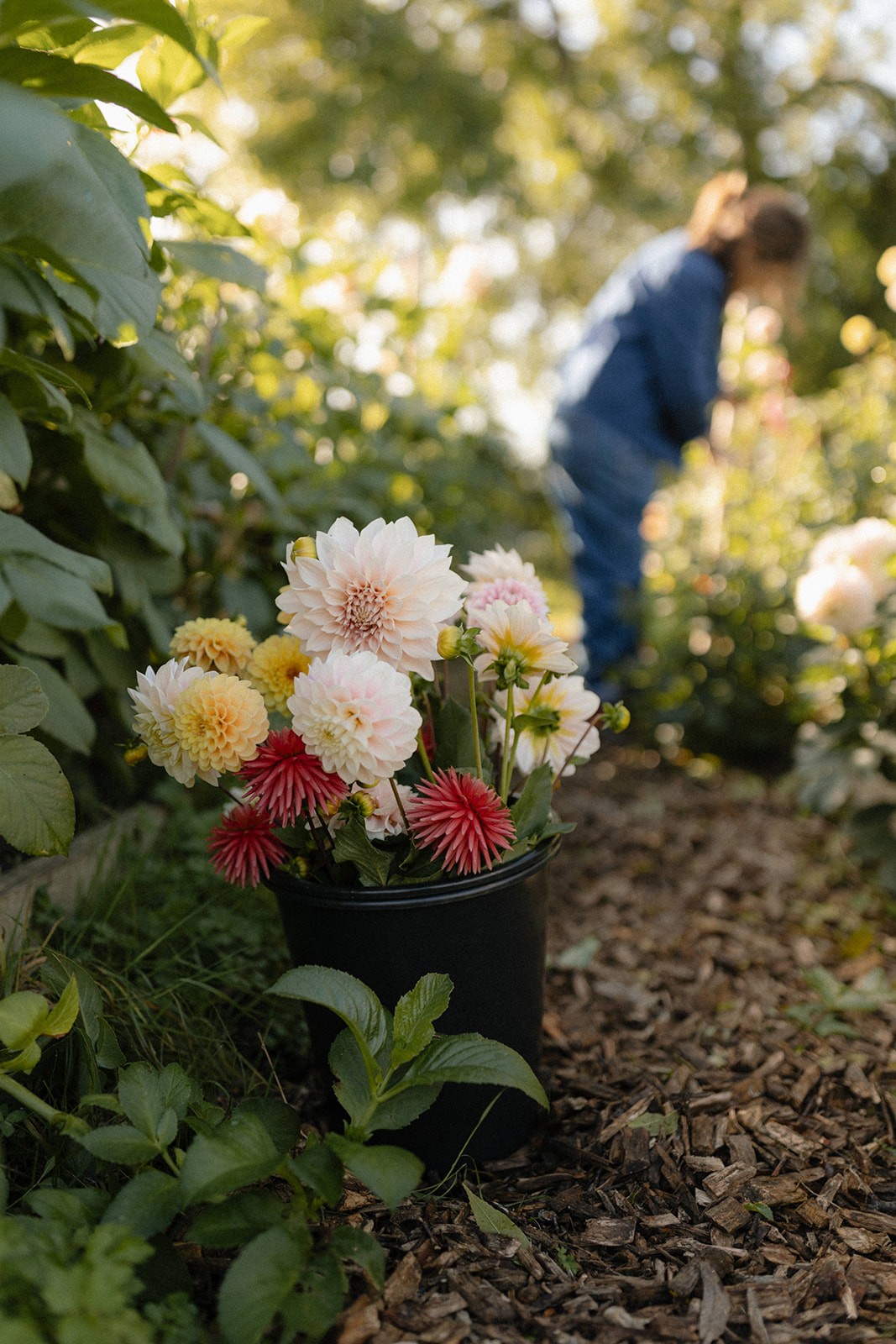 Sustainable wedding flower farm Sussex | Petal & Feast
