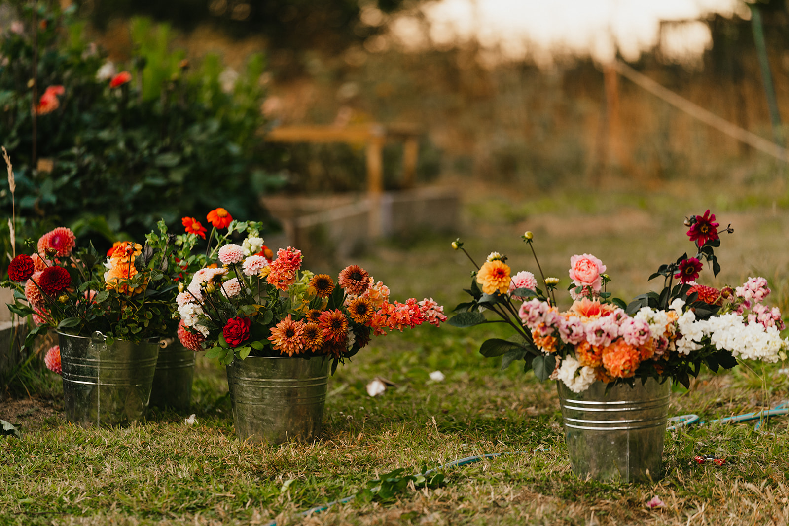 Sustainable wedding flowers Sussex | Petal & Feast