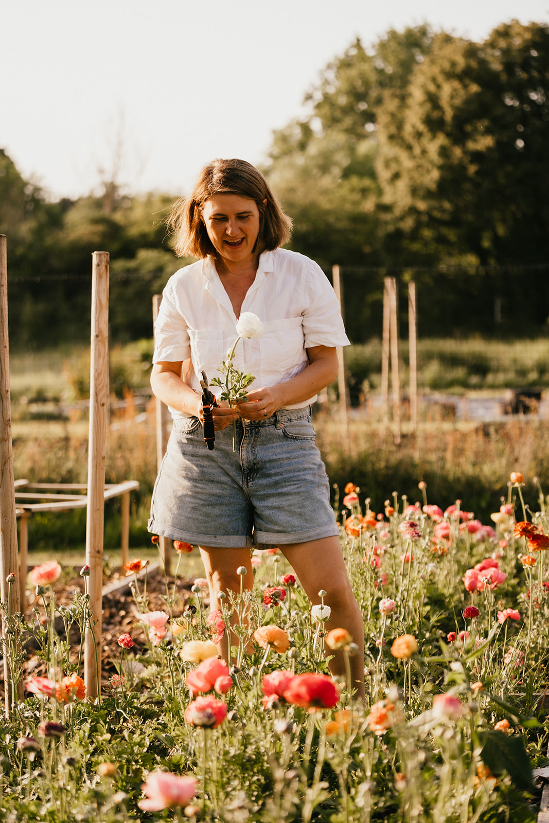 Hannah in the flower field, Petal and Feast